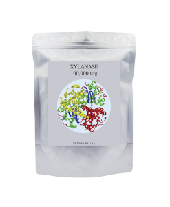 Enzyme Xylanase